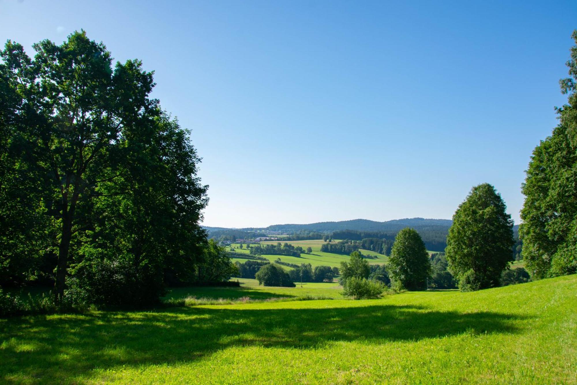 Naturchalets 7 Sentidos Bischofsmais Kültér fotó